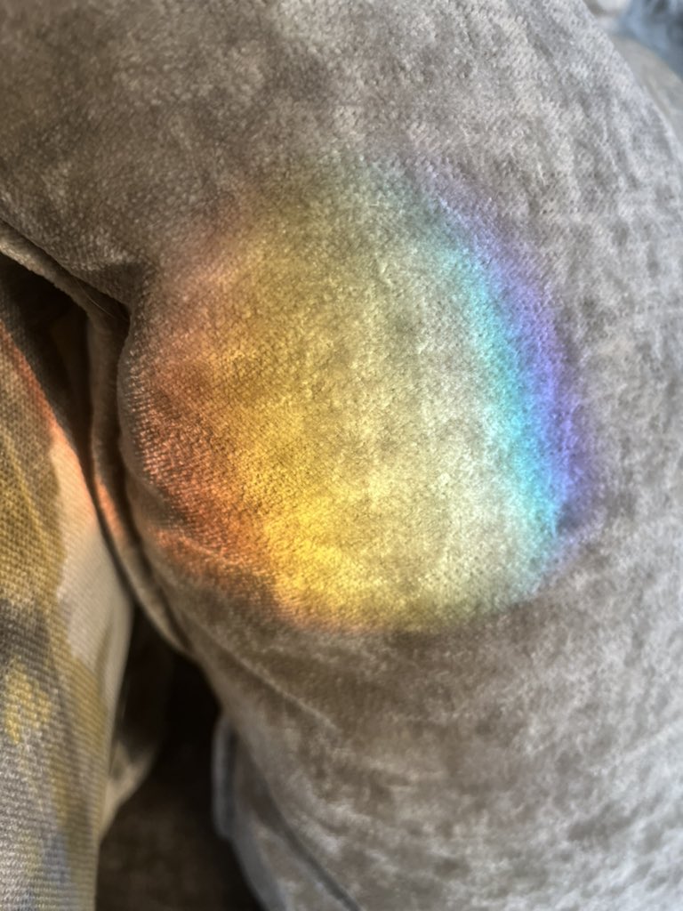 Female salvia for tearful as it is 21 weeks since my running over the rainbow 🌈 bridge