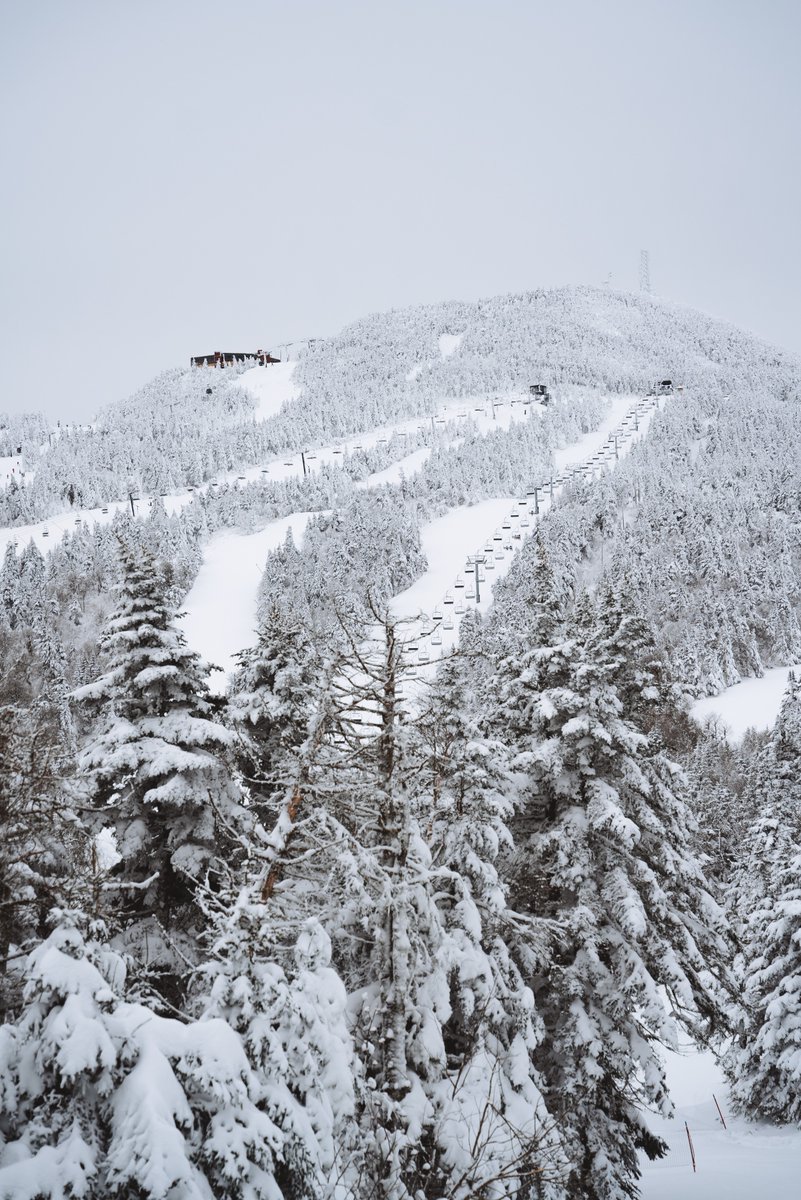 Frosted tips are back in style❄️🌲

#Beast365 #Killington