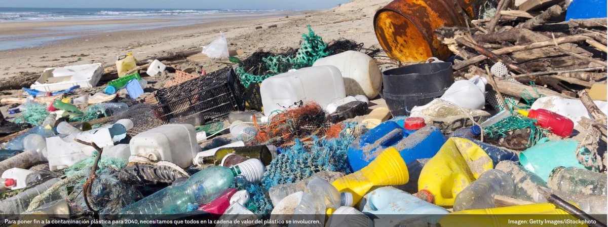 MarineSafe tweet media