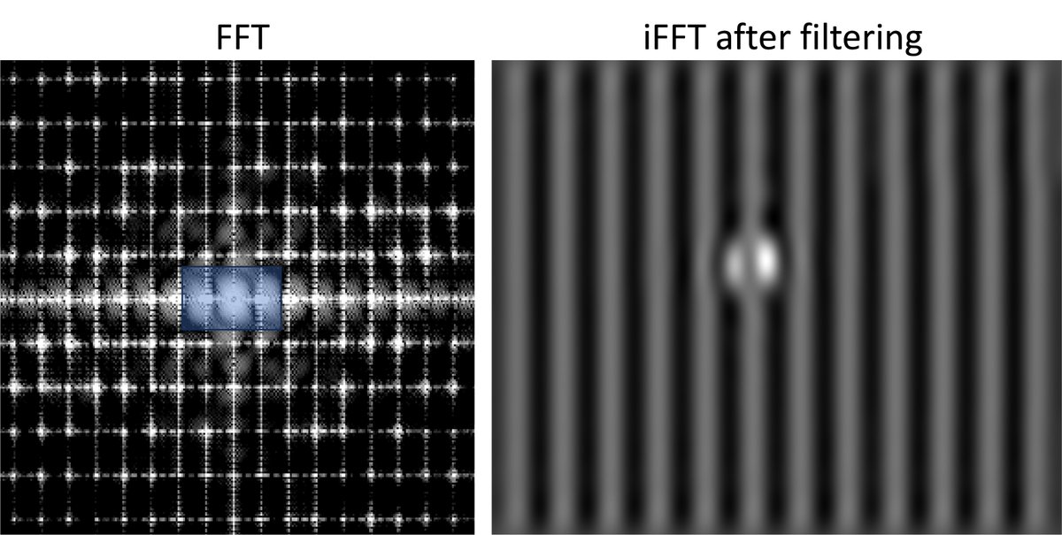 David A Muller tweet media