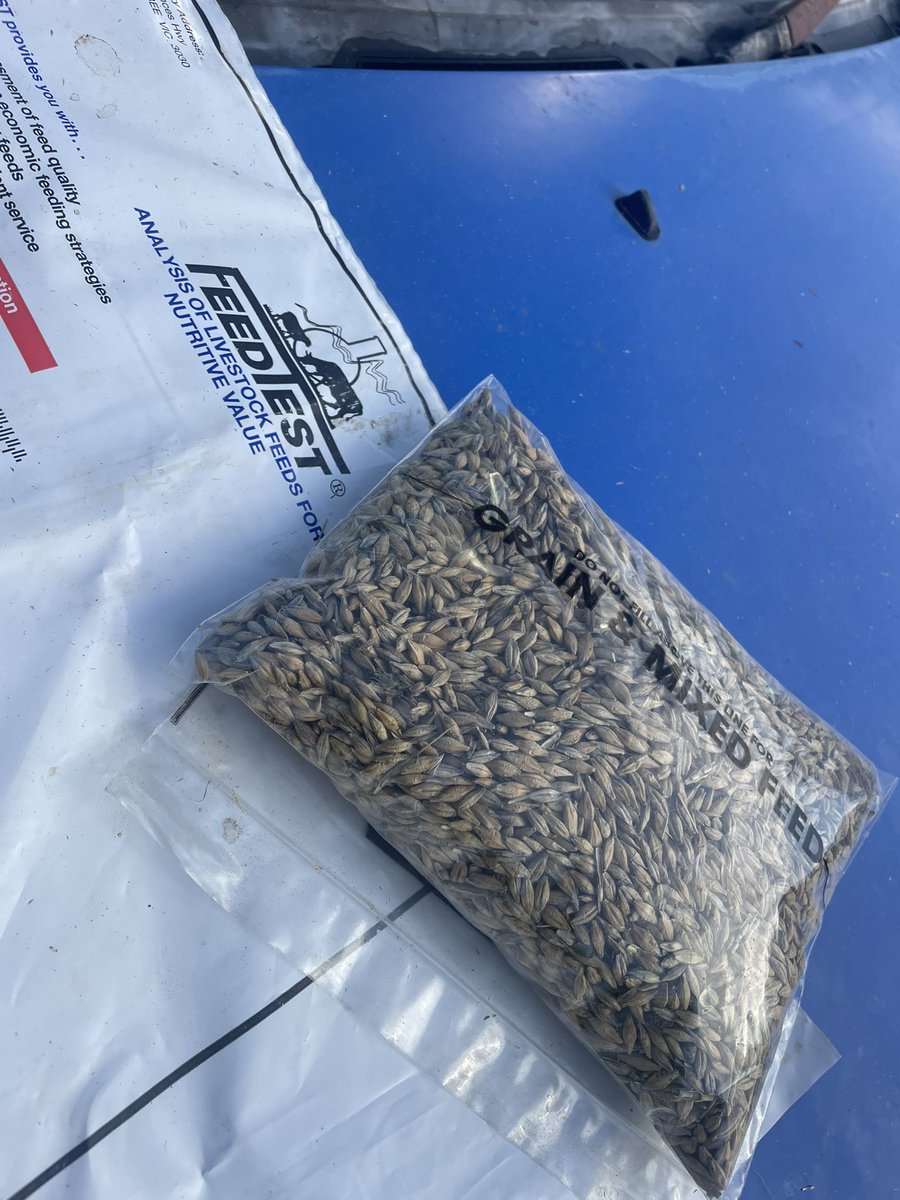 Ricky Luhrs tweet media