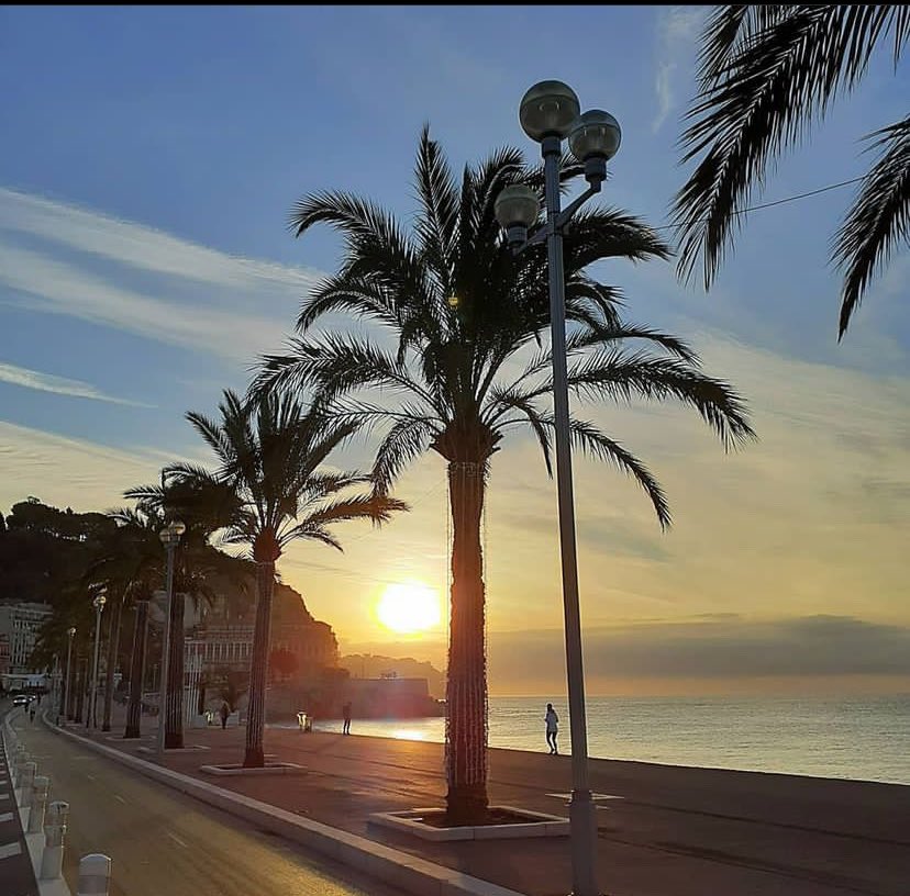 jeremymonchalin's tweet image. Magnifique