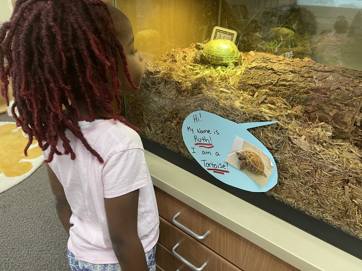 Amna Syed tweet media