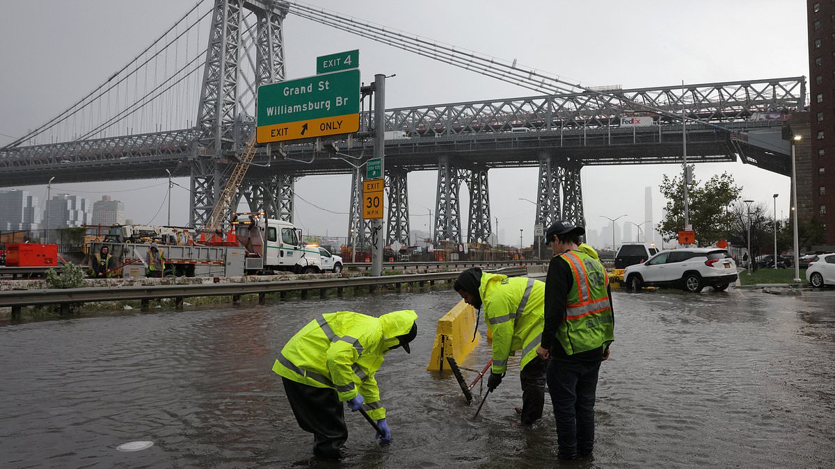 Daily Mail US tweet media