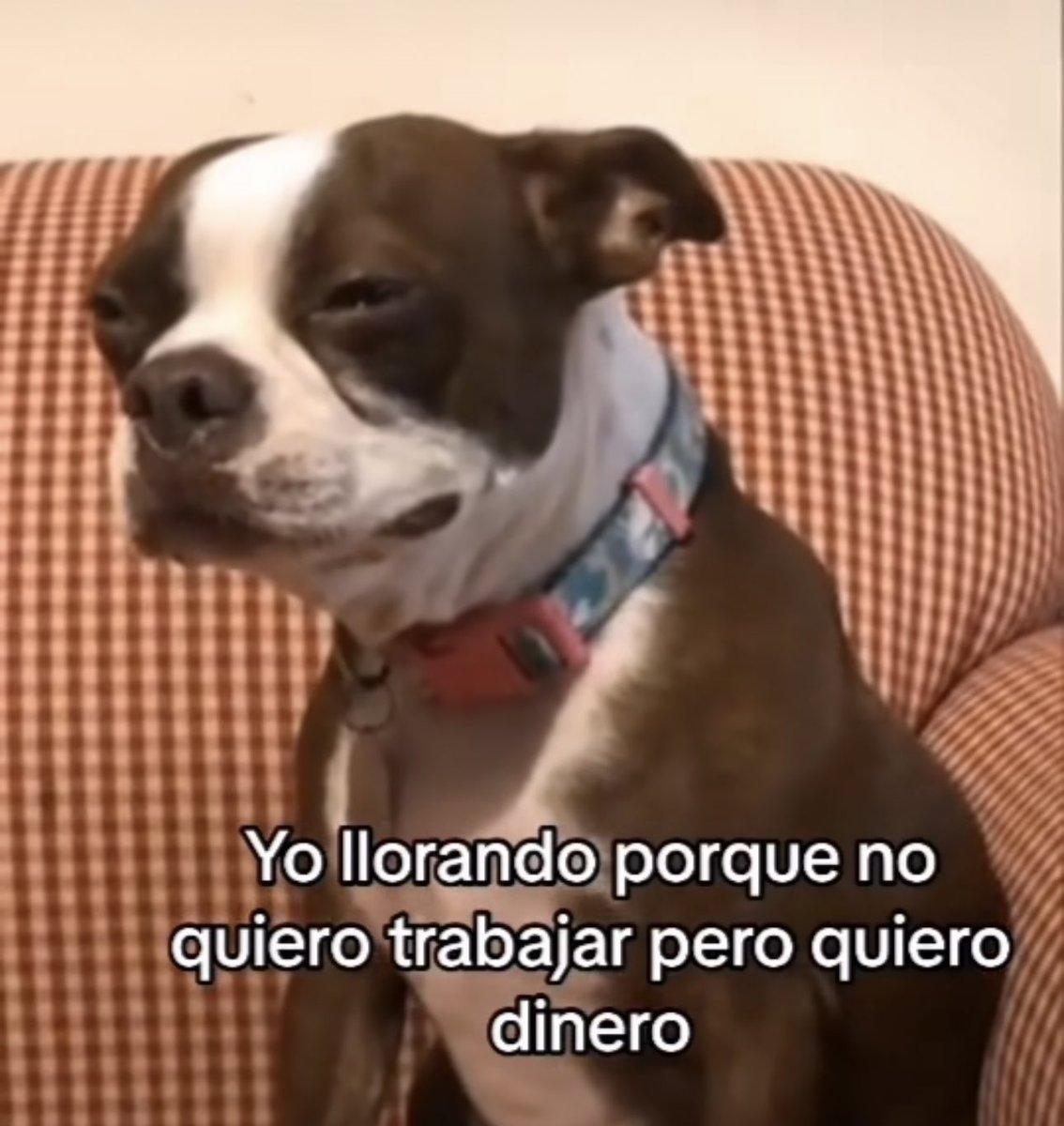 skereunpesado's tweet photo. https://t.co/9FewYLXlxb