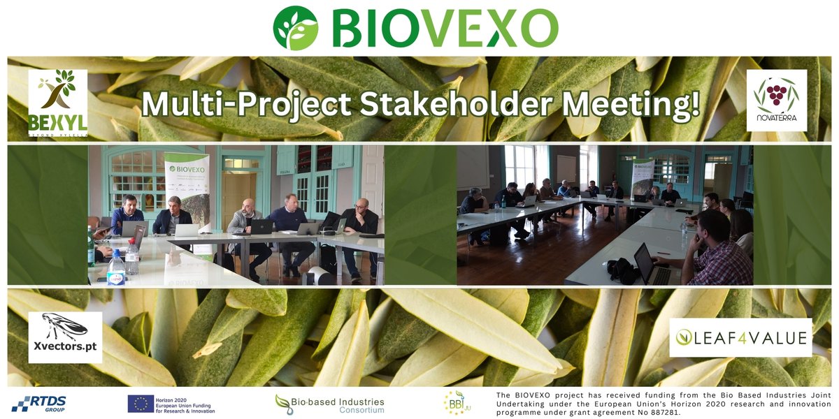 Despite some technical challenges, our meeting was highly productive! Thanks to all attendees, especially @BexylP @NOVATERRA19 @OLEAF4VALUE & @EFSA_EU! #eufunded #research #collaboration #synergy #network #xylella #pesticides #olives 🫒🇪🇺💚
