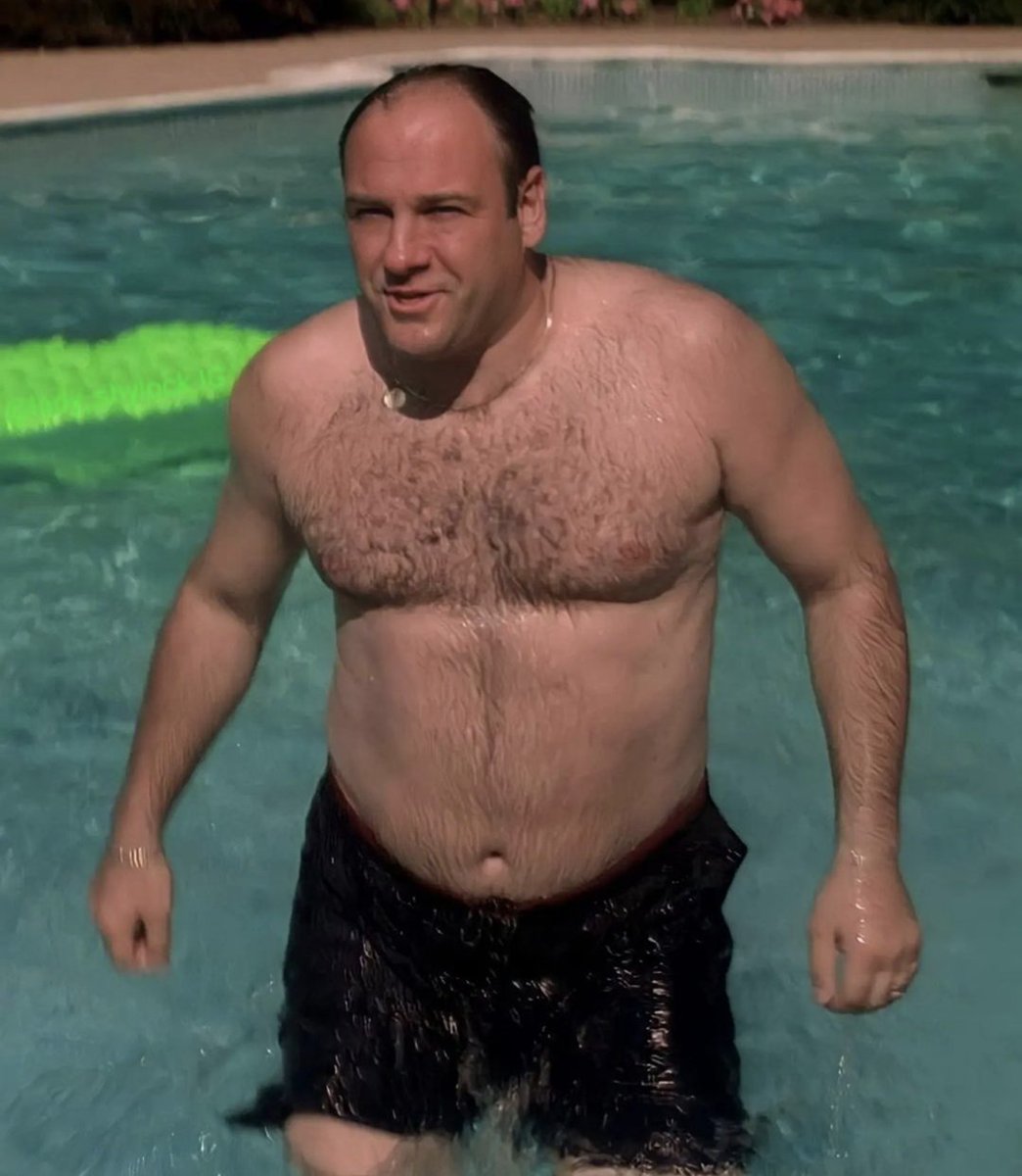 uncle_june's tweet photo. Women be like "hear me out" and it's literally Tony Soprano https://t.co/qjrHBOZrh9