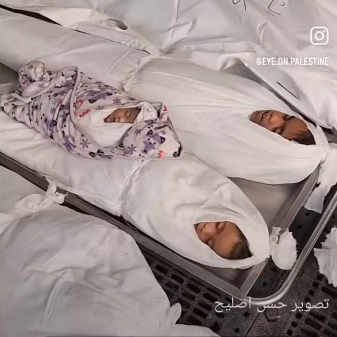 Çocuk ve insanlık  katilleri
Sondakika 
#Teröristingiltere
#GazaStarving