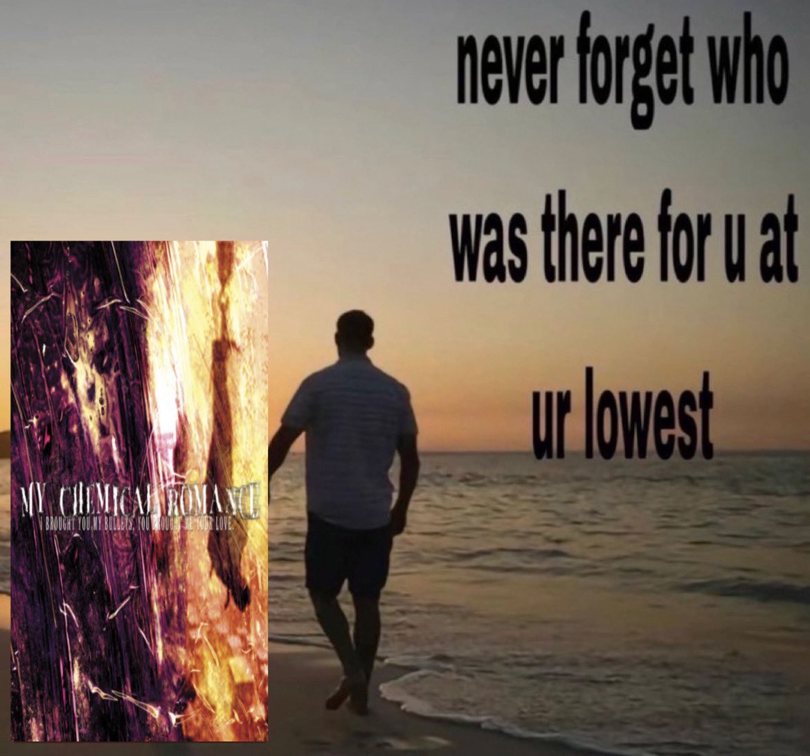 starlessflies's tweet image. 