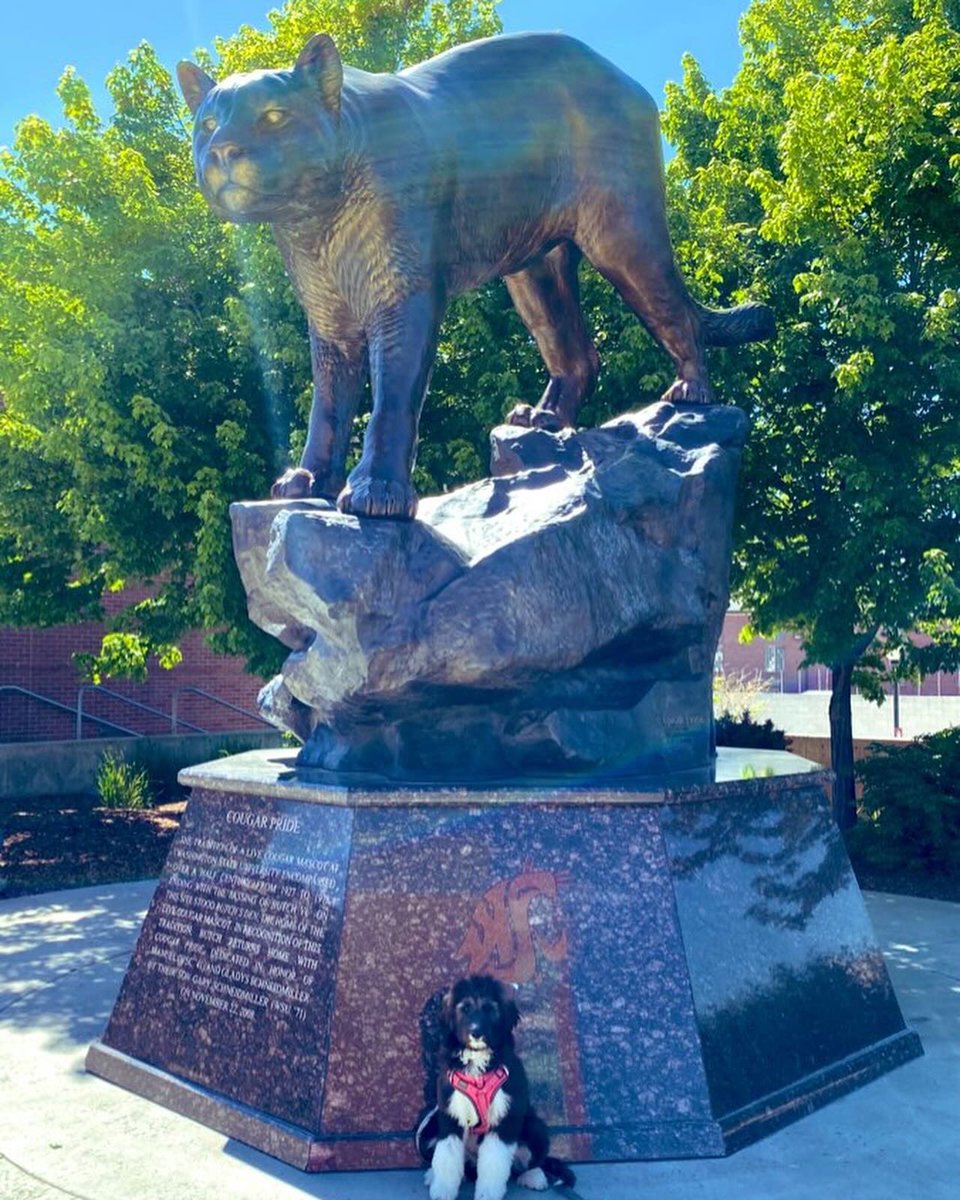 Johanna Pfeiffer tweet media