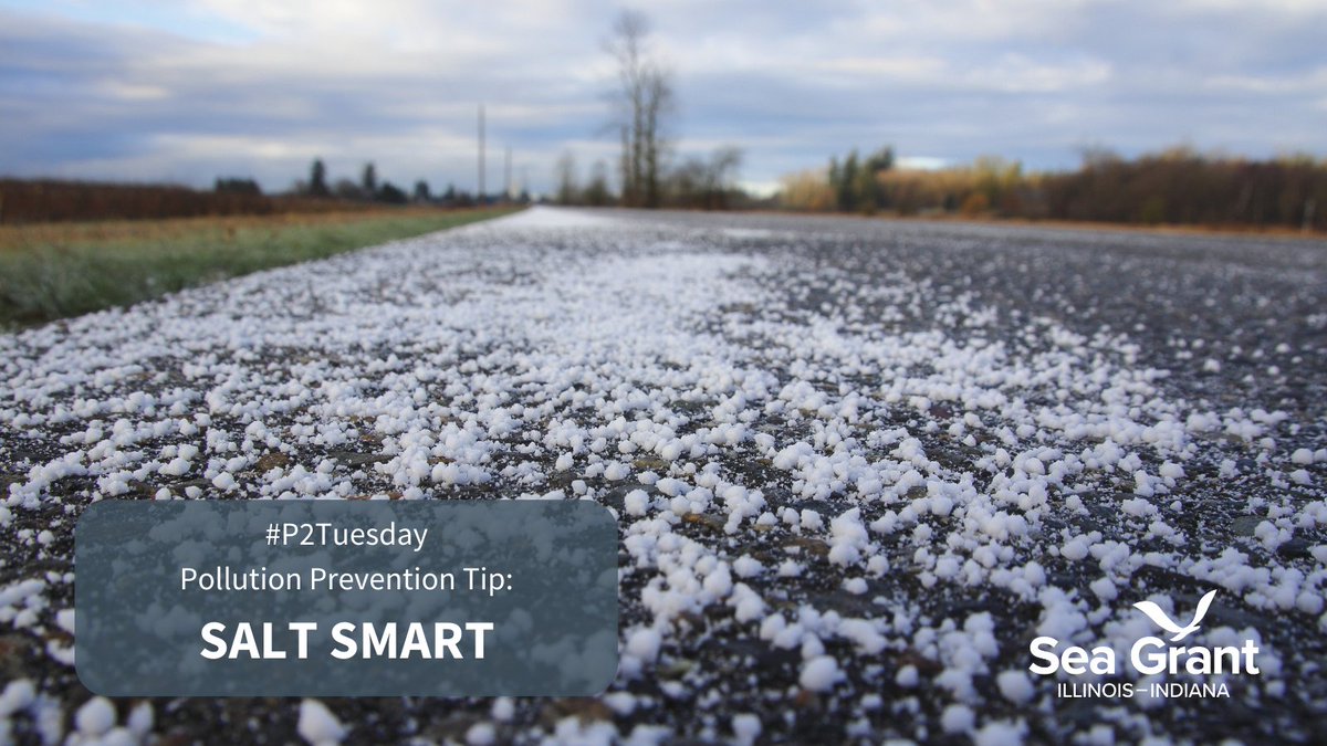 GreatLakesP2's tweet image. SALT SMART AND REUSE SALT

A small amount of salt goes a long way.

Use salt where you need it and spread out salt evenly - don’t leave salt in clumps.

A 12oz cup of salt can de-ice up to 10 sidewalk squares.

#P2Tuesday #saltsmart #pollutionprevention