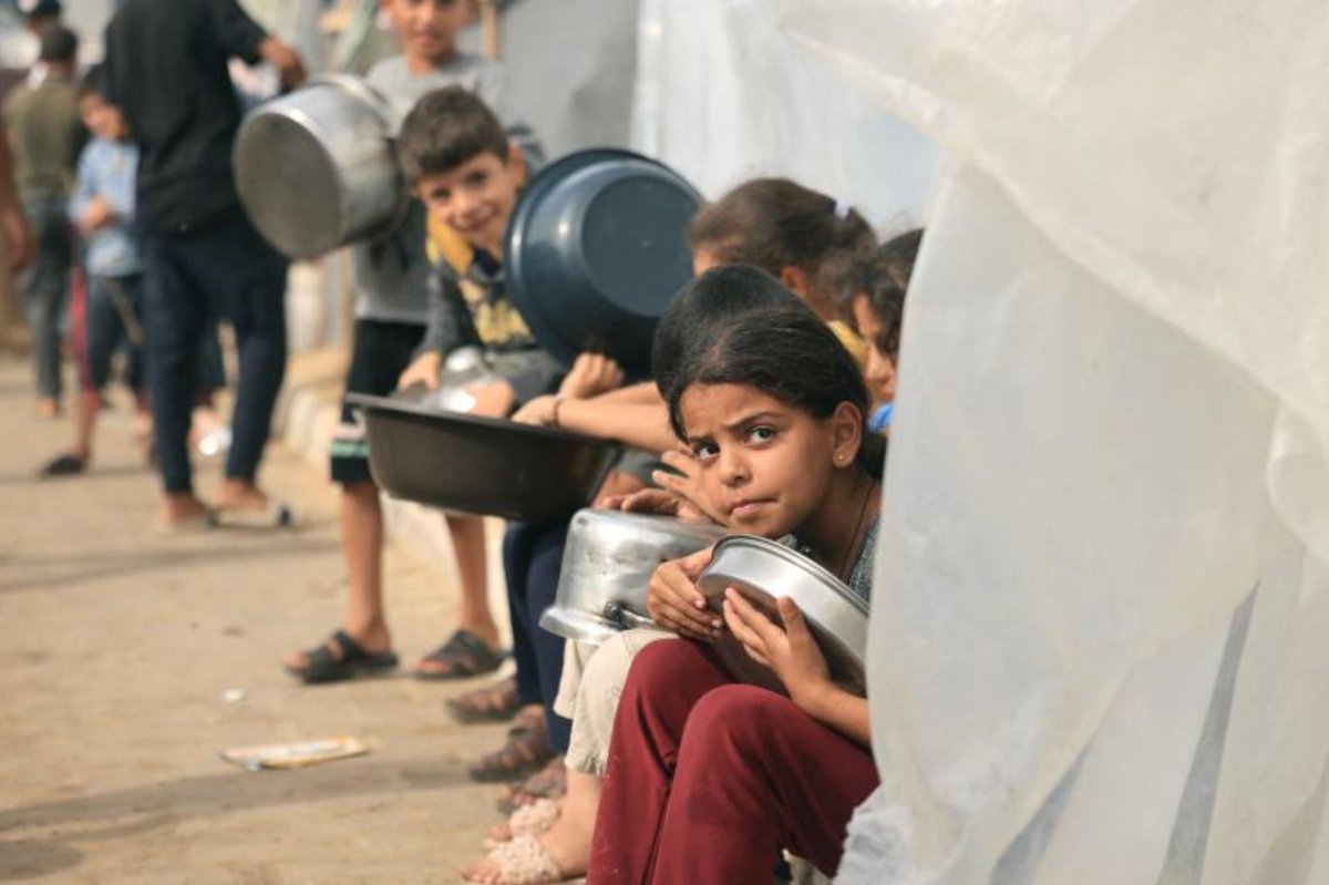 warriorgirl_49's tweet photo. #GazaStarving https://t.co/xmowSxE2WP