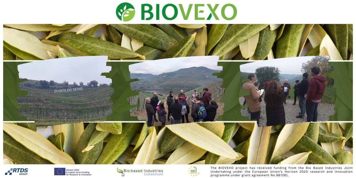 Following a highly productive Multi-project Stakeholder Meeting, We had a great afternoon yesterday hearing from #experts at the #QuintadoSeixo vineyards about their #research! 🍇🌱🫒🇪🇺💚 @AITtomorrow2day @CNRsocial_ @AciesBio @Domca_Spain @AsajaNacional @NOVATERRA19 #pesticides