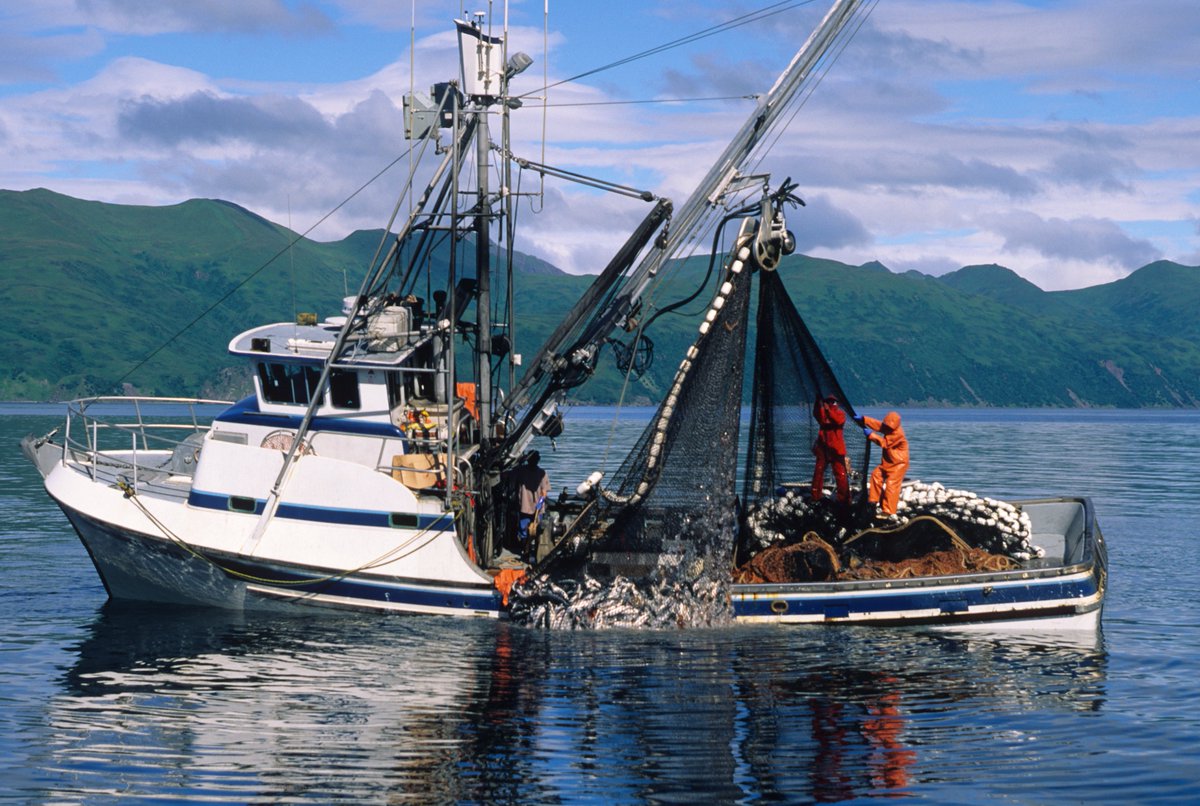 Stanford Center for Ocean Solutions (@oceansolutions) on Twitter photo This Thursday: Join a webinar co-hosted by the Blue Food Futures Program & other <a href="/UNOceanDecade/">UN Ocean Decade</a> partners.
Former <a href="/oceansolutions/">Stanford Center for Ocean Solutions</a> research fellow <a href="/JacquiVogel/">Jacqui Vogel</a> & <a href="/NOAA/">NOAA</a>'s Melissa Karp will present their respective work on shifting species distributions.
🔗 bit.ly/48GZlus This Thursday: Join a webinar co-hosted by the Blue Food Futures Program & other <a href="/UNOceanDecade/">UN Ocean Decade</a> partners.
Former <a href="/oceansolutions/">Stanford Center for Ocean Solutions</a> research fellow <a href="/JacquiVogel/">Jacqui Vogel</a> & <a href="/NOAA/">NOAA</a>'s Melissa Karp will present their respective work on shifting species distributions.
🔗 bit.ly/48GZlus