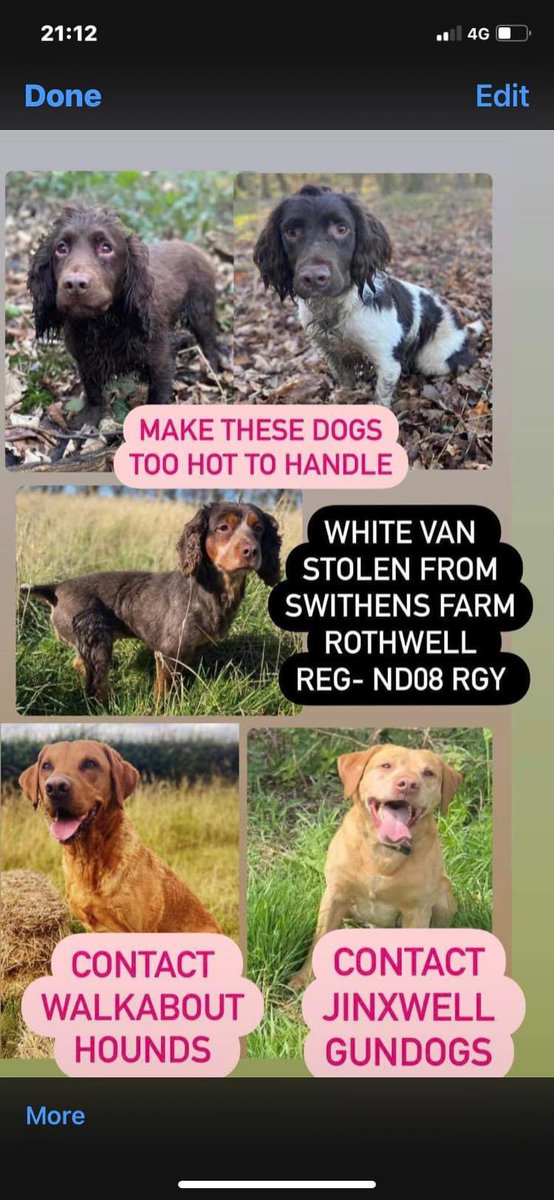 🆘URGENT HELP REQUIRED🆘
My friend has had #van #stolen, with dogs inside #Rothwell. 
PLS CAN U HELP EITHER BY RT/ANY INFO WOULD BE GREATLY APPRECIATED.
🚨White Van reg ND08 RGN 🚨
Pls share/make them #toohottohandle 
<a href="/pettheftaware/">Pet Theft Awareness</a> <a href="/RachaelB100/">Rachael</a> <a href="/juliagarland73/">Helping the lost home #TeamWales 🇬🇧</a> <a href="/AdoptionsUk/">Animal Adoptions UK 🐕‍🦺🐈🐎❤️</a>