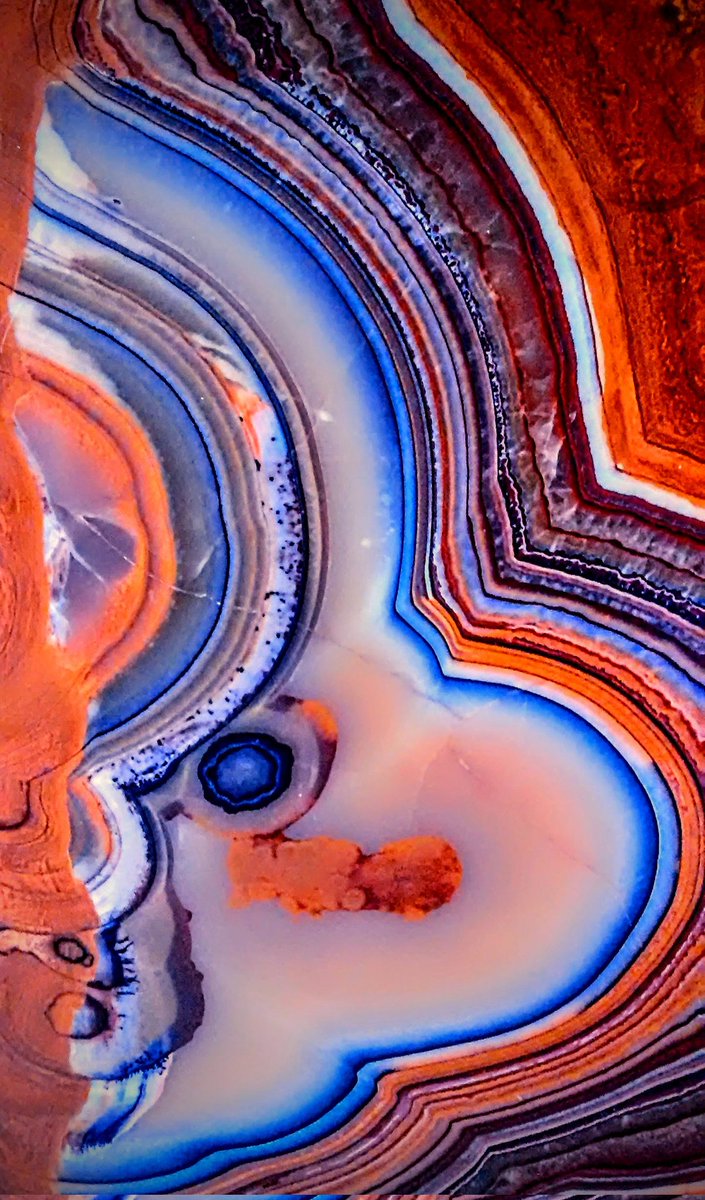 mhall55nine's tweet image. &quot;Today is your opportunity to build the tomorrow you want!&quot; #JanuaryVibes #AgateArt #photography