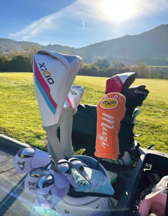 Prove in one sentence that you can play golf
