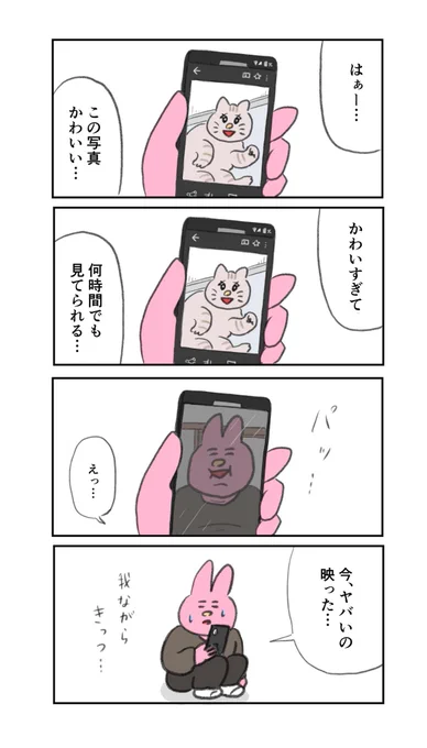 猫の写真見てる時の自分の顔、、