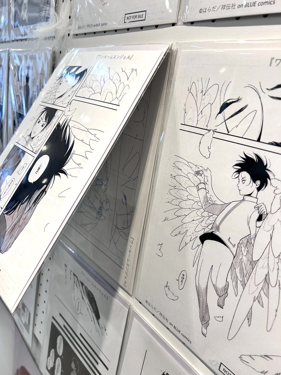 🏠「#ワンルームエンジェル」ドラマ&原作 ポップアップストア👼🏻at