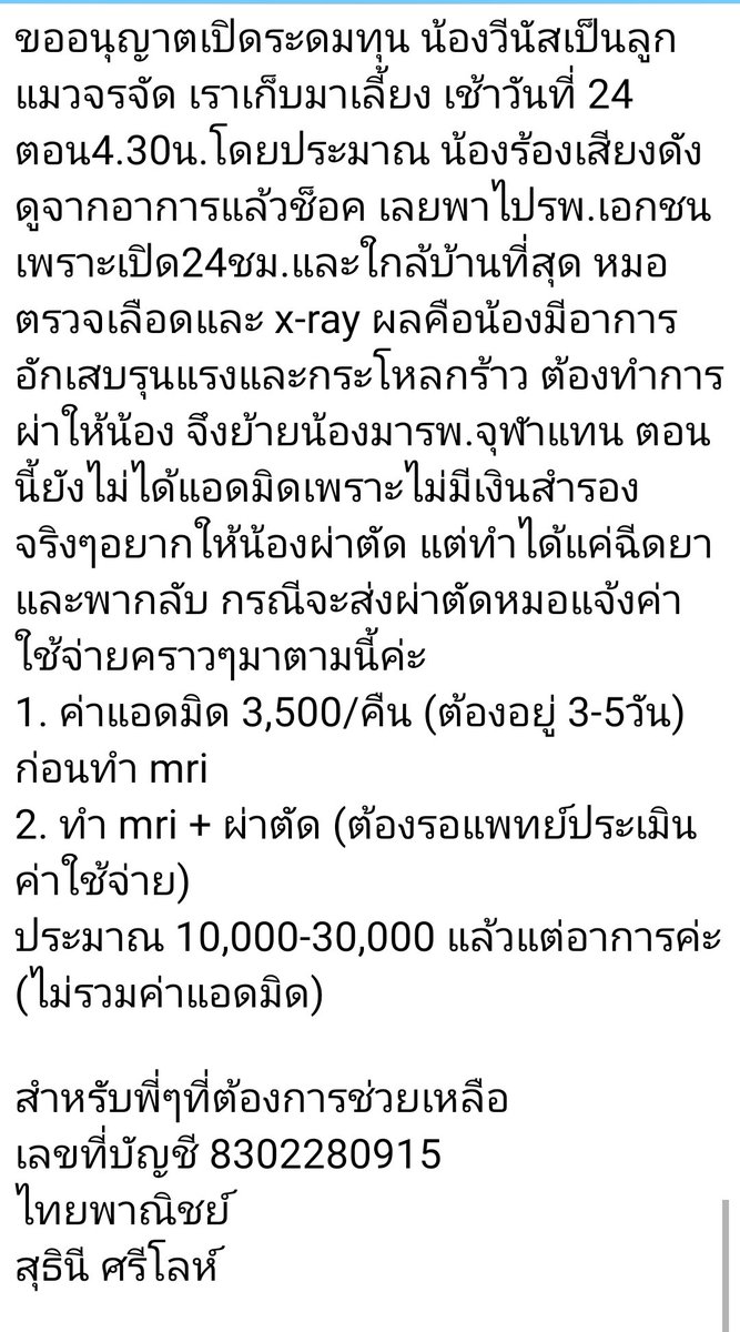 JPForMe19's tweet photo. ขอพื้นที่ช่วยเหลือน้องหน่อยนะคะ เนื่องจากน้องกะโหลกร้าว ต้องการการผ่าตัดค่ะ พี่ๆที่มีกำลังสามารถช่วยเหลือน้องได้นะคะ 🥺🙏
#ทาสแมว #แมวป่วย #ผ่าตัด #หาบ้านให้แมว #แมวหาบ้าน #หาบ้านแมว #ทวิตดีคนรีน้อย #เดอะมอลล์บางแค https://t.co/NhIf4Hdjtv