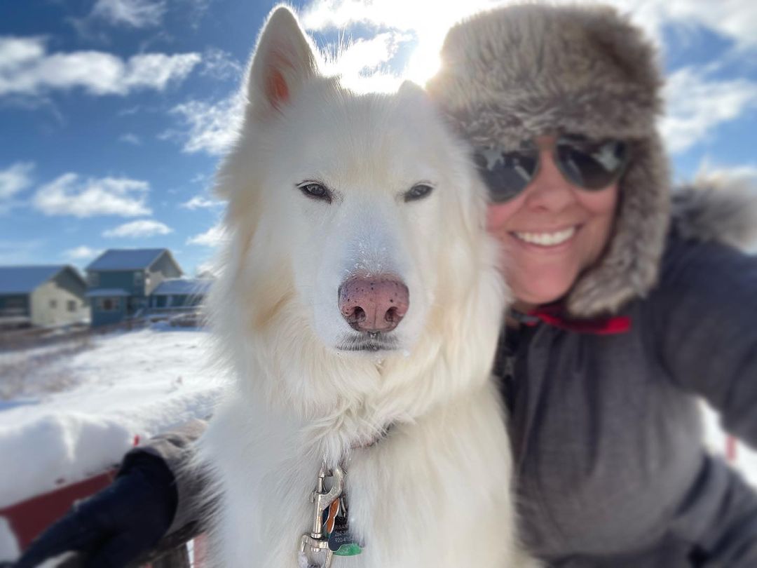 When Mom tries to put my snow booties on me without giving me a treat after each one… yeah right 😑

✅ Turn Post Notification On 📣

✅ Follow, Like, Share and Comment 📝

All Credit goes to: @denali_olli

#whitedog #snowdog #husky #whitehusky #huskies #huskymix #huskymom