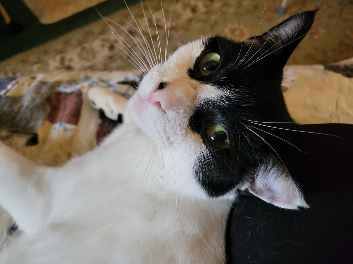 GPenley's tweet image. One year ago this handsome fella declared us family!!! We are LOVING this journey!