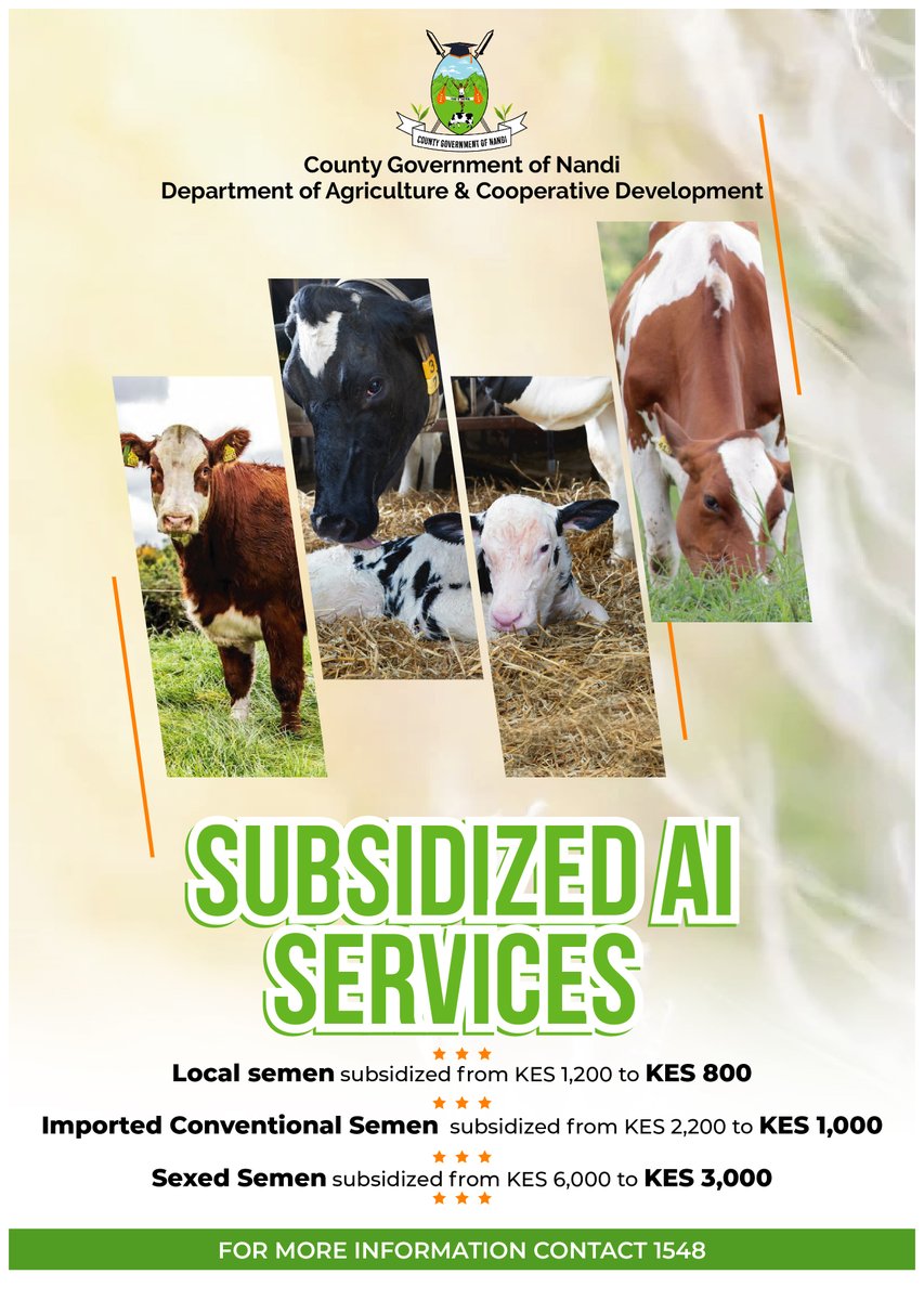 Nandi029's tweet photo. Get our subsidized Artificial Insemination (AI) services at an affordable price. Simply call 1548 and our extension team will be at your farm to offer this crucial service. #ContinuedTransformation https://t.co/85UAS6bfaN