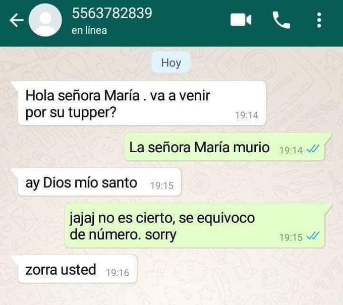 zorra usted