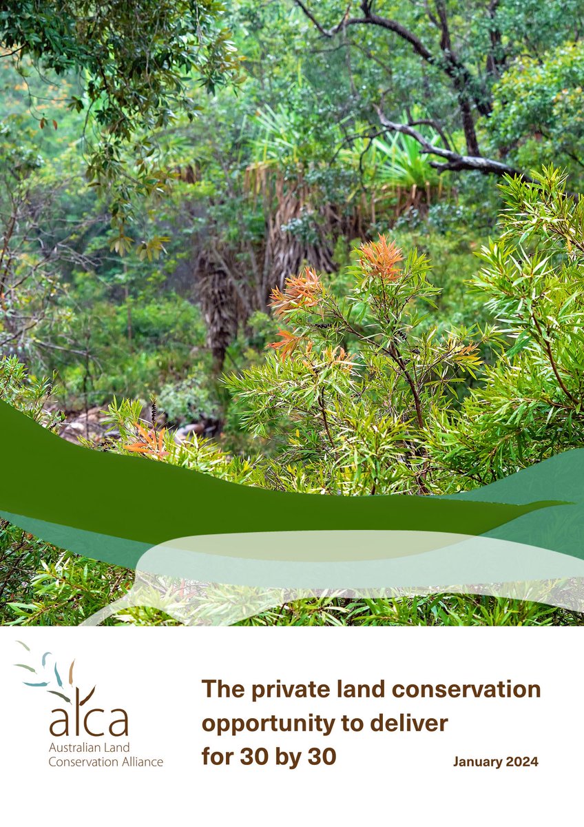 The recent 'Pathways to 30x30' report by @nature_org @pewtrusts @LandAustralian @WWF_Australia outlines 4 pathways to meet Australia's commitment to protect 30% of land by 2030. New ALCA publication explores the private land conservation pathway: bit.ly/4bbFe9l