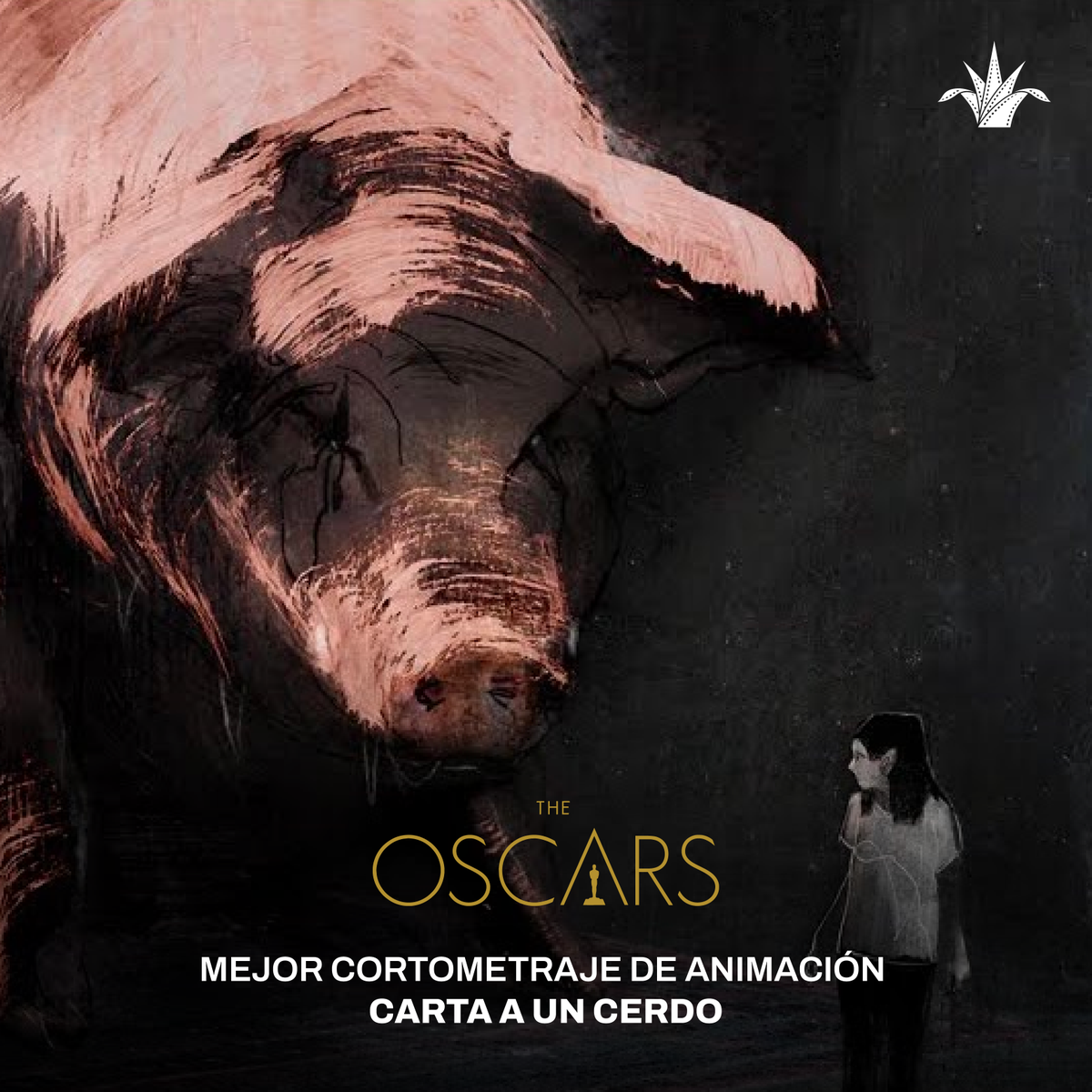 FICGoficial's tweet image. ‘Carta a un cerdo’, de Tal Kantor, fue parte de la competencia para el Premio Rigo Mora en el #FICG37, así como ‘Noventa y cinco sentidos’, de Jerusha Hess y Jared Hess, y ‘Paquidermo’, de Stéphanie Clémet, que compitieron también por el Rigo Mora en el #FICG38.