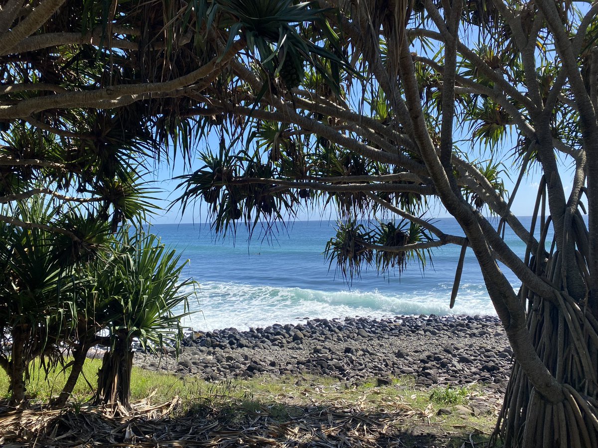 AKBae🪬 tweet media