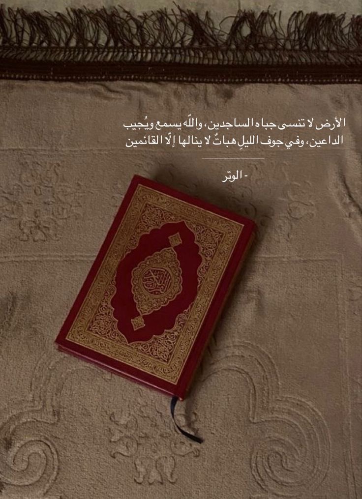 _Amaal27's tweet photo. الوتر جنة القلب 
#الوتر
#الامارات https://t.co/6itXbkQ4MC