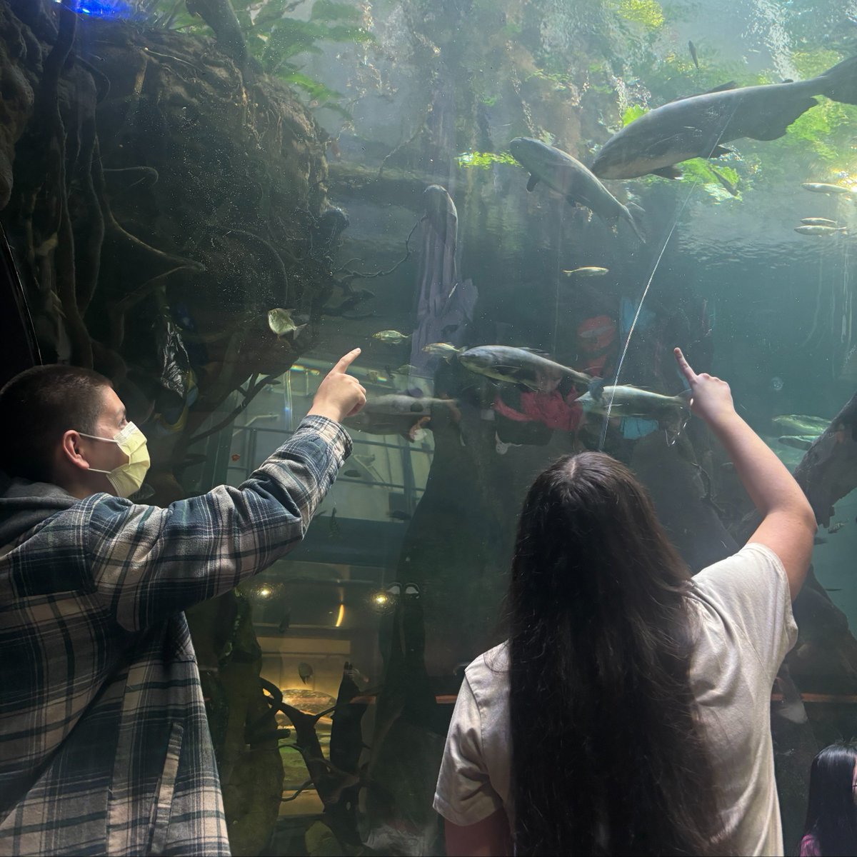 A glimpse of today's California Academy of Sciences Field Trip