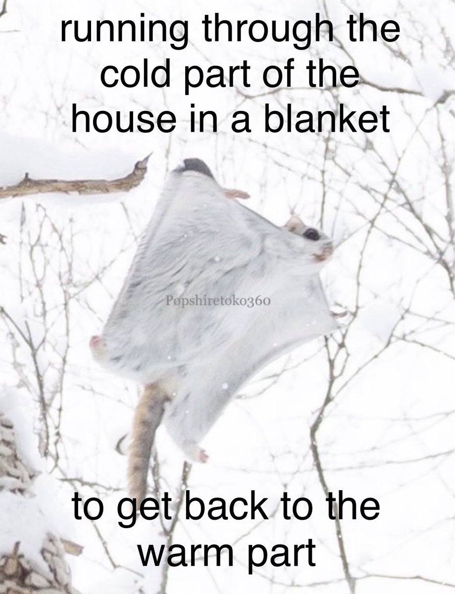 Naomi Elizabot (@nelizabot) on Twitter photo 