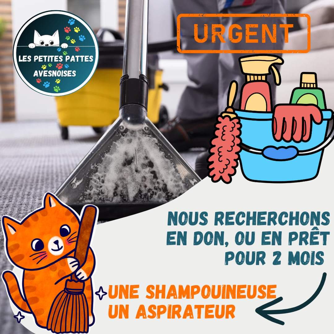 Nous avons besoin de votre aide suite à un dégât des eaux.
facebook.com/share/x7B2wwG1…
#lespetitespattesavesnoises #avesnessurhelpe #association #adoption #chat #sos #famille #aulocalaujourdhui 
#avisderecherche #chatperdu #solidarité #coucoutata