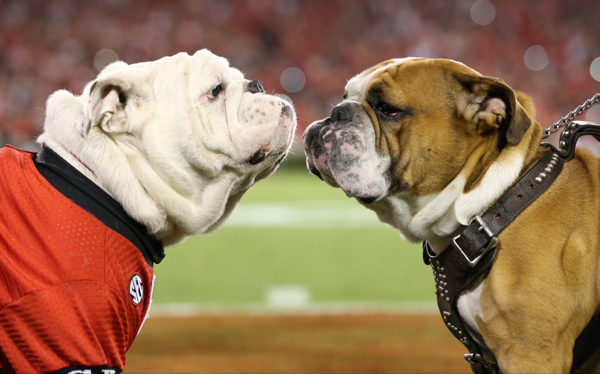 GEkIHyjWwAA4C47?format=jpg&name=large