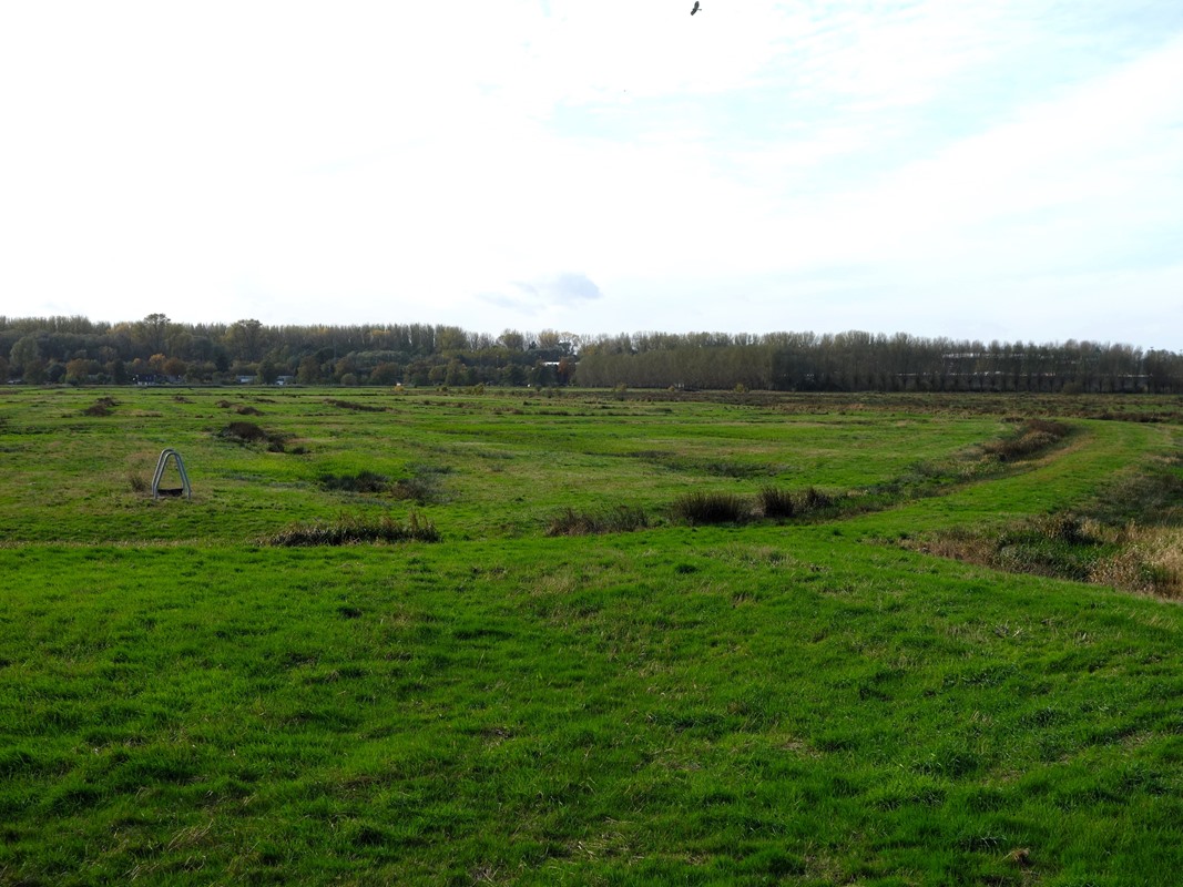 NOberbillwerder's tweet photo. Es ist so bitter das anzusehen. Um die drohende Zerstörung der Kulturlandschaft #Oberbillwerder auszugleichen, wird die intakte Landschaft in Unterbillwerder 1x umgegraben. Flora + Fauna = egal. #Klimakatastrophe, #Artenschutz? Egal. 
Wo? In #Hamburg #Bergedorf #Billwerder https://t.co/uBxSuKInTb