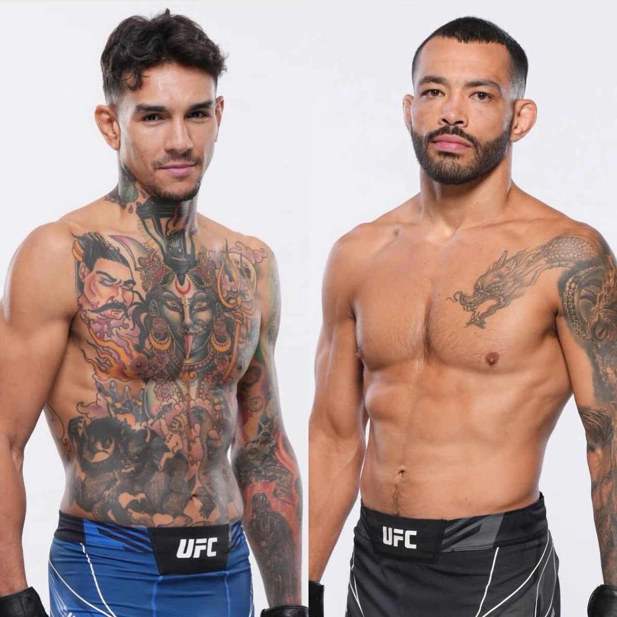 Team Alpha Male tweet media