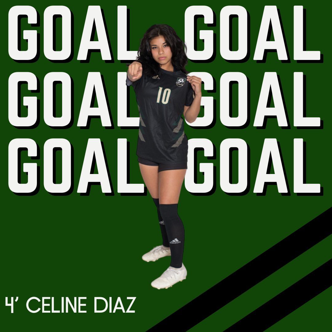Birdville Lady Hawks Soccer tweet media