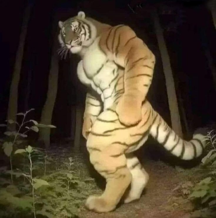 MrBeast x MrArtur 
Soñar no cuesta nada