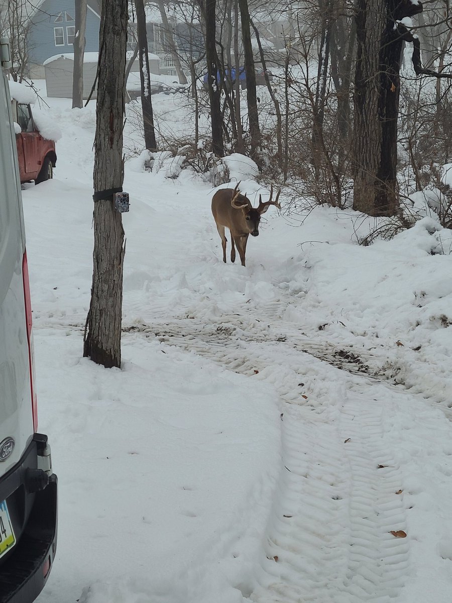 Iowa Hunter tweet media