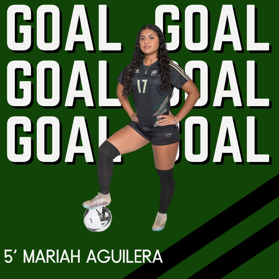 Birdville Lady Hawks Soccer tweet media