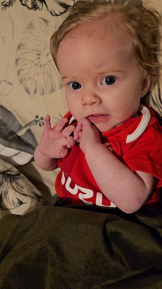 silentf0x's tweet photo. She's #SixNationsReady, are you? https://t.co/P9YUkDiWmm