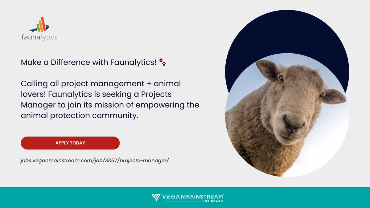 🚀 Career Alert! Faunalytics is Hiring a Projects Manager. 🐾 Are you a project management expert with a passion for animal welfare? This is your chance to lead impactful research projects. 

Apply today!
jobs.veganmainstream.com/job/3357/proje…
