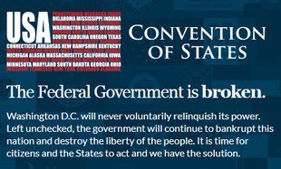 DABIRDISDEAD's tweet image. #ElectionFraudCannotStand!📜⚖️🇺🇸 
#DisenfranchisementIsEnslavement!
@COSProject conventionofstates.com