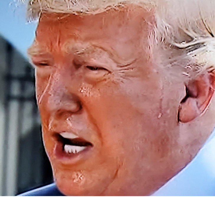 PeteCarrollHat's tweet photo. @RachelBitecofer Hahaha- "MAGA fever"- love it! Like Covid but your brain rots the faster you tell lies.
#TrumpMentalHealth #MAGAFever https://t.co/ovnE6iuand