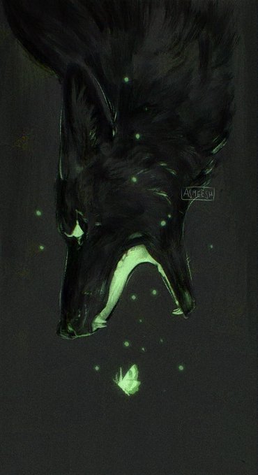 「signature wolf」 illustration images(Latest)
