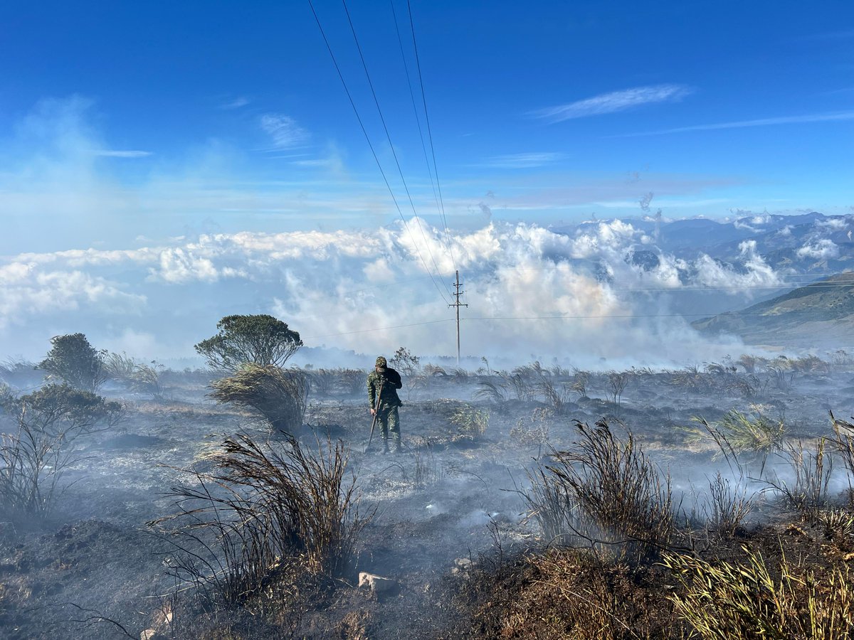 vanguardiacom's tweet photo. En las últimas horas, lugareños de la vereda Ucatá en Tona y zonas aledañas al Páramo de Berlín, en Santander, han compartido las devastadores imágenes del atroz incendio que ha consumido aproximadamente 100 hectáreas, según habitantes de la zona: https://t.co/b83JEil5Km https://t.co/n05wunFSHv