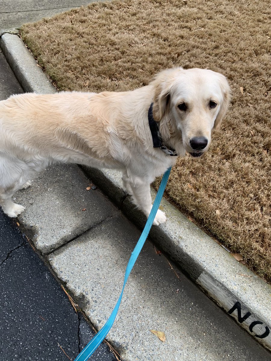 ryoo_math's tweet photo. Day 23 step challenge #thefaveway got a few steps in after the rain https://t.co/2xZdeNer8P
