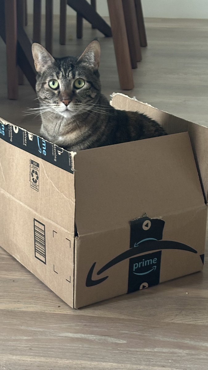 This must be therapeutic.  Any #cat analysts out there?